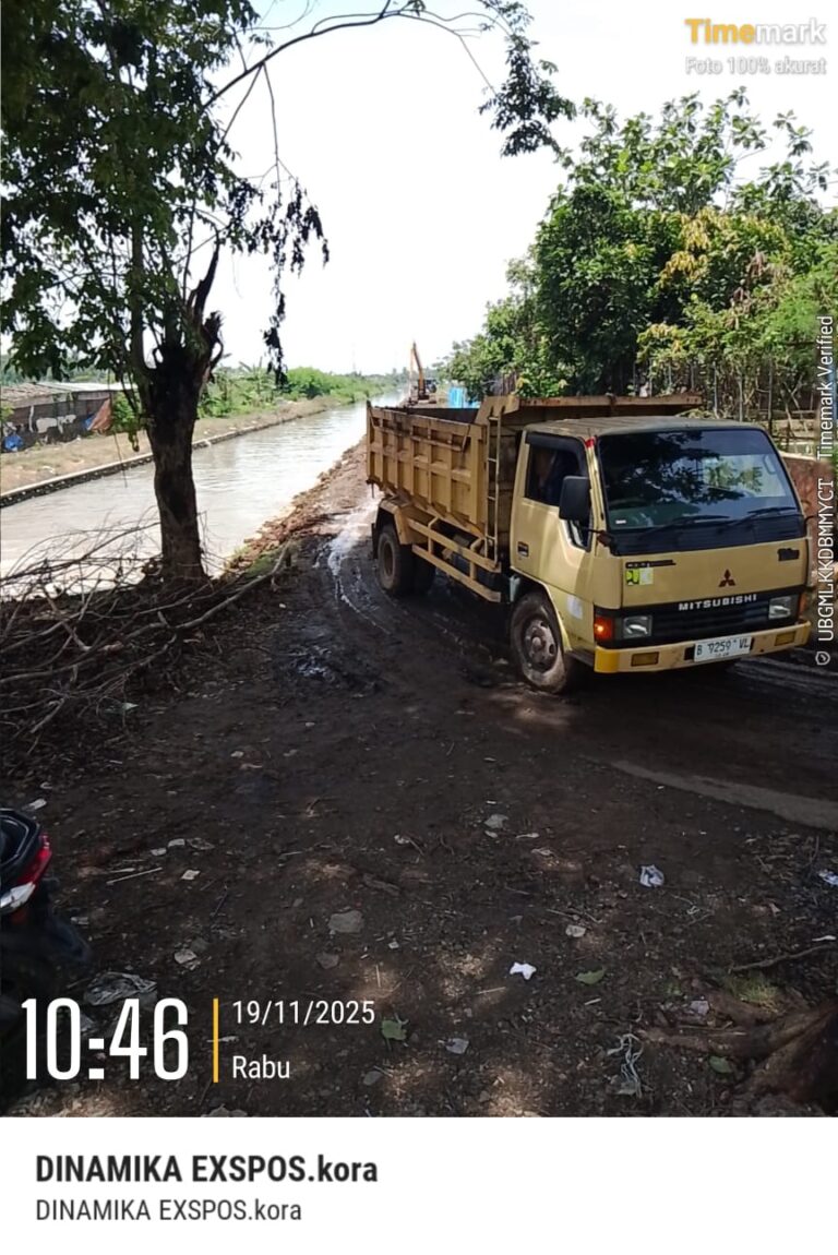 IMG-20251128-WA0015